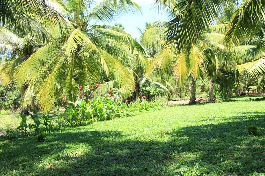 The Coconut Gardens Hotel & Restaurant Tissamaharama Room photo